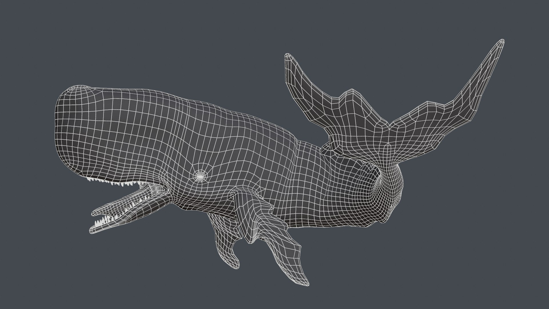 The Legendary Whale model https://p.turbosquid.com/ts-thumb/Q3/qYBlty/dr/screen_topology_thumbanils_pose2/png/1714557181/1920x1080/fit_q87/b70aa32b0432af010a79196de132a19168c586f1/screen_topology_thumbanils_pose2.jpg