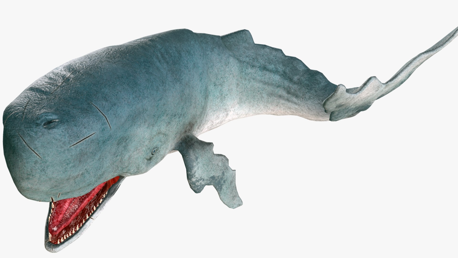 The Legendary Whale model https://p.turbosquid.com/ts-thumb/Q3/qYBlty/eU/the_legendary_whale_screen_19/png/1714557194/1920x1080/fit_q87/f04927b1f11af766be4225b10ec988ab9153d34f/the_legendary_whale_screen_19.jpg