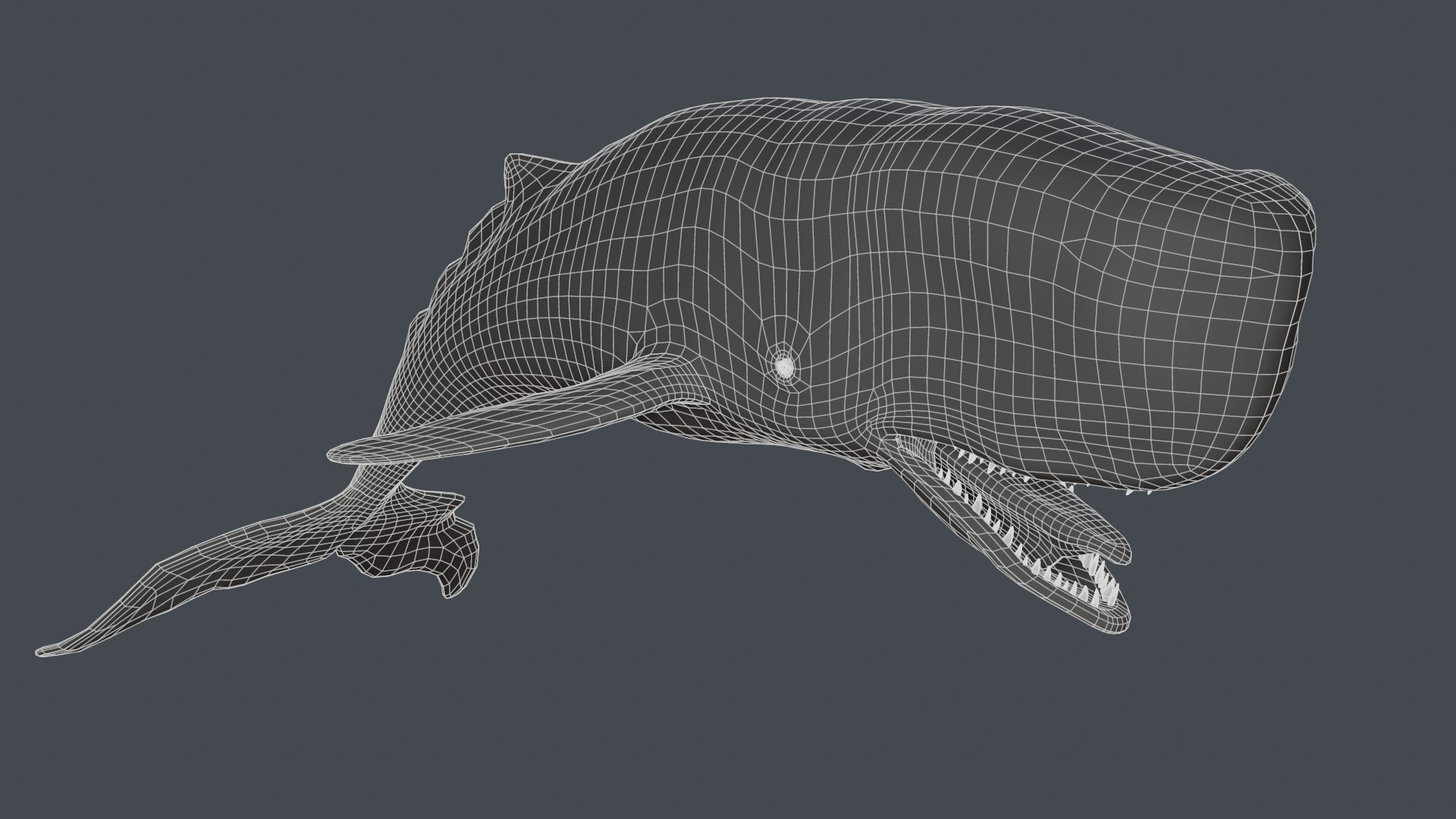 The Legendary Whale model https://p.turbosquid.com/ts-thumb/Q3/qYBlty/fE/screen_topology5/png/1714557178/1920x1080/fit_q87/01a416bcf7b42715c21c1566a624394099ba04c5/screen_topology5.jpg