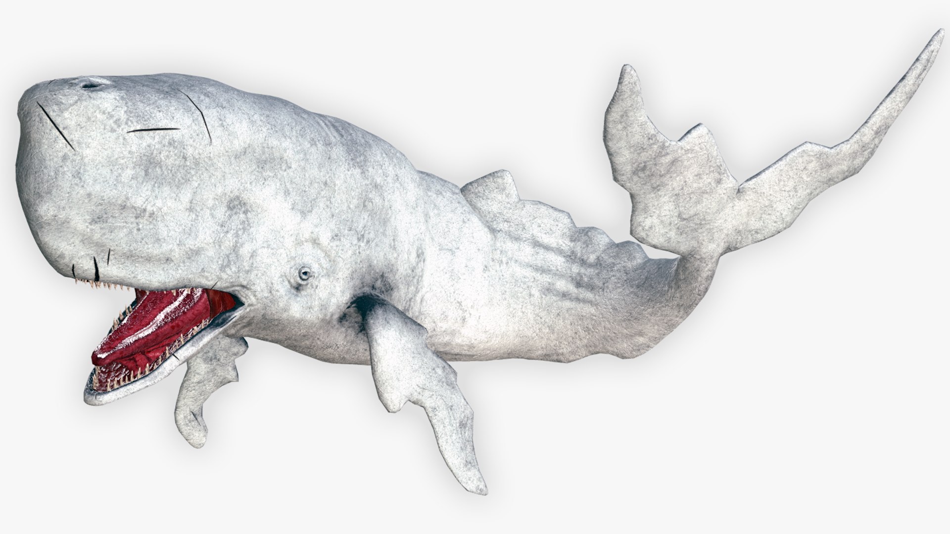The Legendary Whale model https://p.turbosquid.com/ts-thumb/Q3/qYBlty/fU/the_legendary_whale_screen_2/png/1714557185/1920x1080/fit_q87/01722952332d892e14cf62812f1d5ad8656539e5/the_legendary_whale_screen_2.jpg