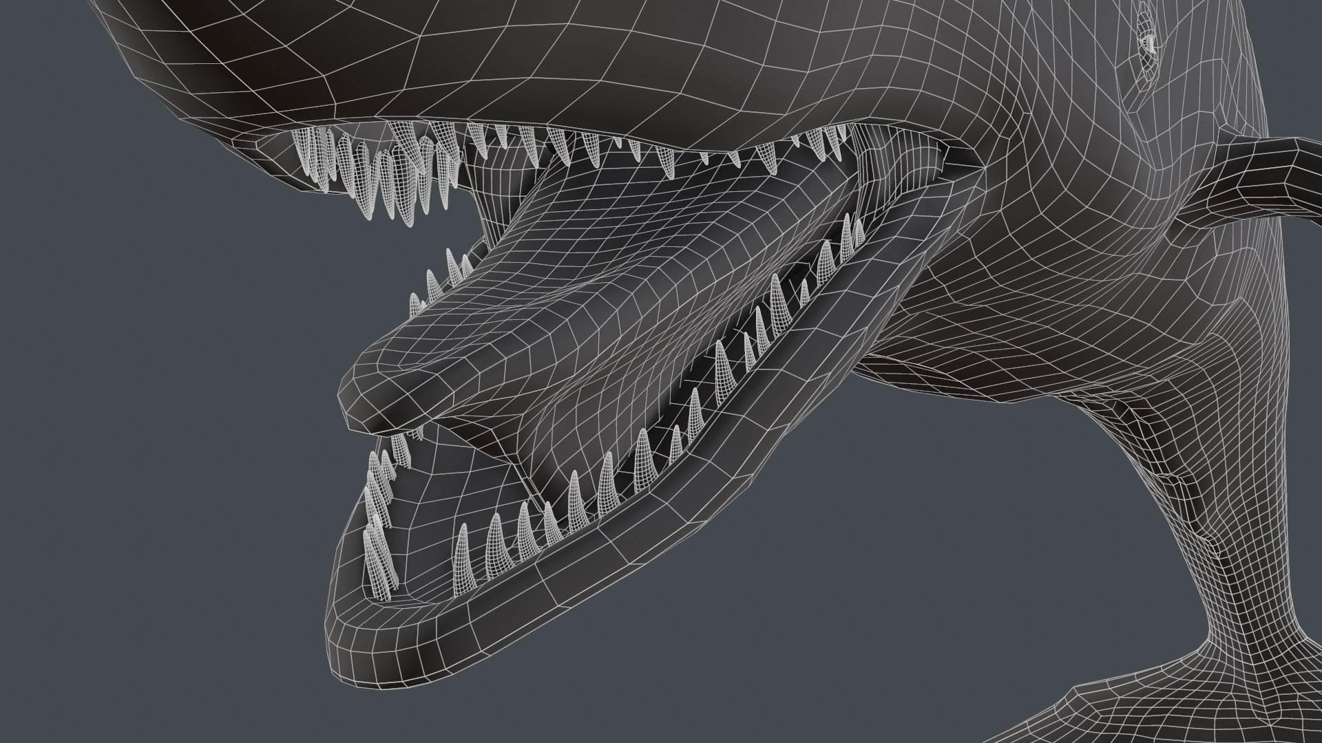 The Legendary Whale model https://p.turbosquid.com/ts-thumb/Q3/qYBlty/hx/screen_topology4/png/1714557179/1920x1080/fit_q87/d505ac585d4de72fc78063f295434273c09c82cb/screen_topology4.jpg
