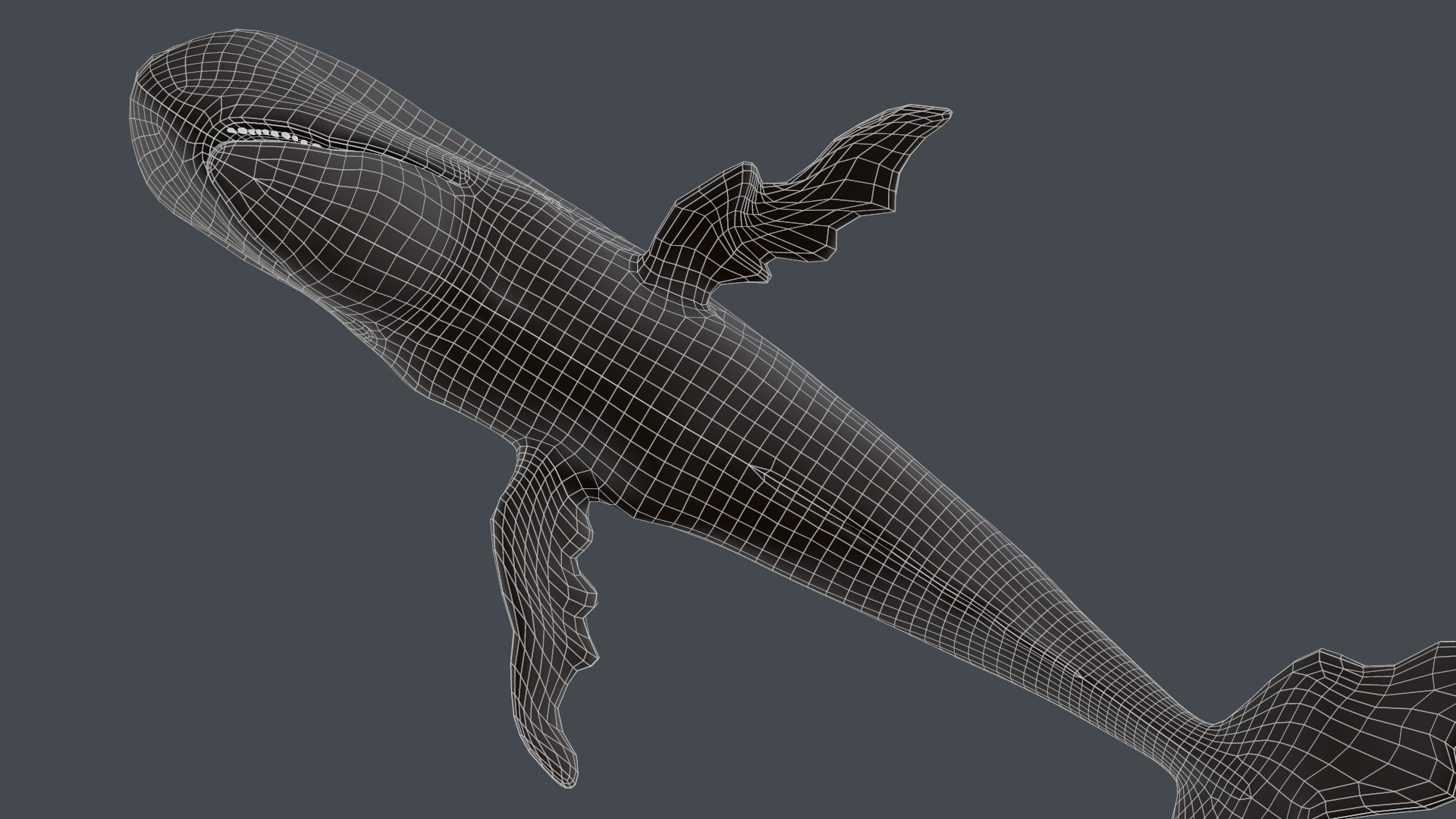 The Legendary Whale model https://p.turbosquid.com/ts-thumb/Q3/qYBlty/ix/screen_topology8/png/1714557179/1920x1080/fit_q87/f10198ead254af152660d5acfbfb58bdd2096bec/screen_topology8.jpg