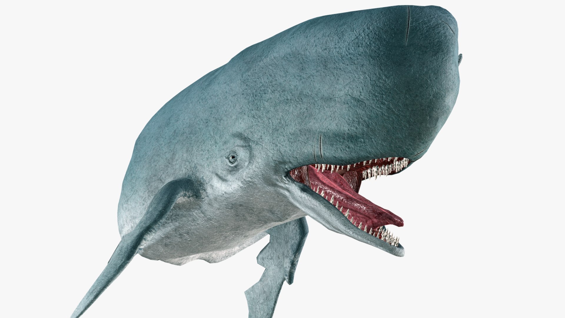 The Legendary Whale model https://p.turbosquid.com/ts-thumb/Q3/qYBlty/p2/the_legendary_whale_screen_18/png/1714557193/1920x1080/fit_q87/5037712cbf65d45461510cd030a331ceb10ad11d/the_legendary_whale_screen_18.jpg