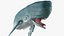 The Legendary Whale