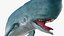 The Legendary Whale
