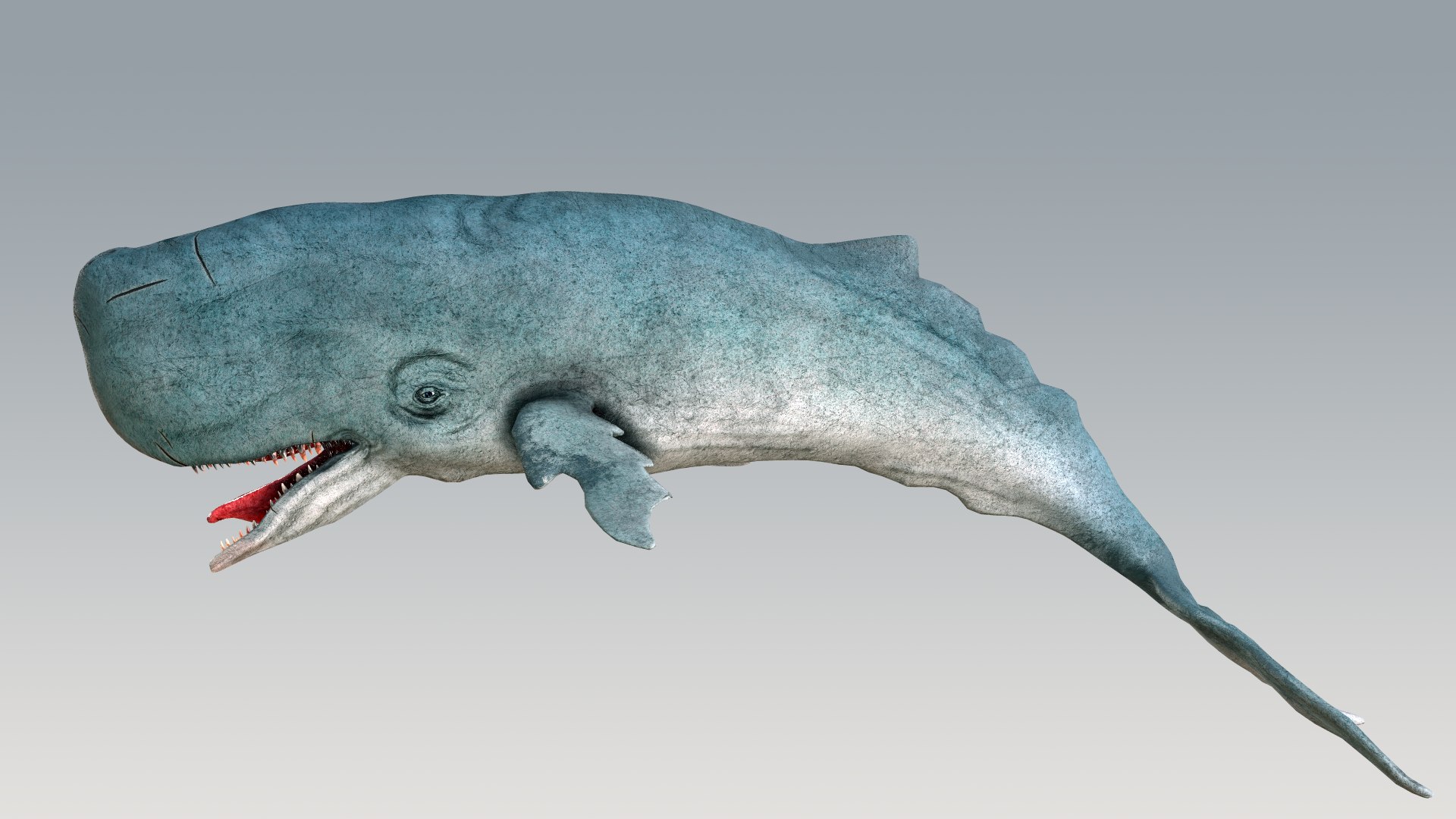 The Legendary Whale model https://p.turbosquid.com/ts-thumb/Q3/qYBlty/vM/screen_a_pose4/png/1714557199/1920x1080/fit_q87/0749c009013d59712c83dc48a330596ccde3ffb7/screen_a_pose4.jpg