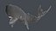 The Legendary Whale