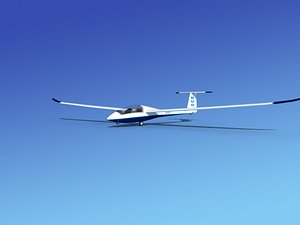 3d model discus duo sailplane plane