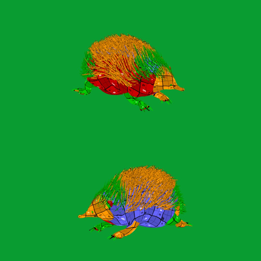 Echidna 3D model https://p.turbosquid.com/ts-thumb/Q4/Ek0UZP/0n/uv/png/1734270323/1920x1080/fit_q87/51f364fa9a9d988589f35a13202e771b9a111ae2/uv.jpg