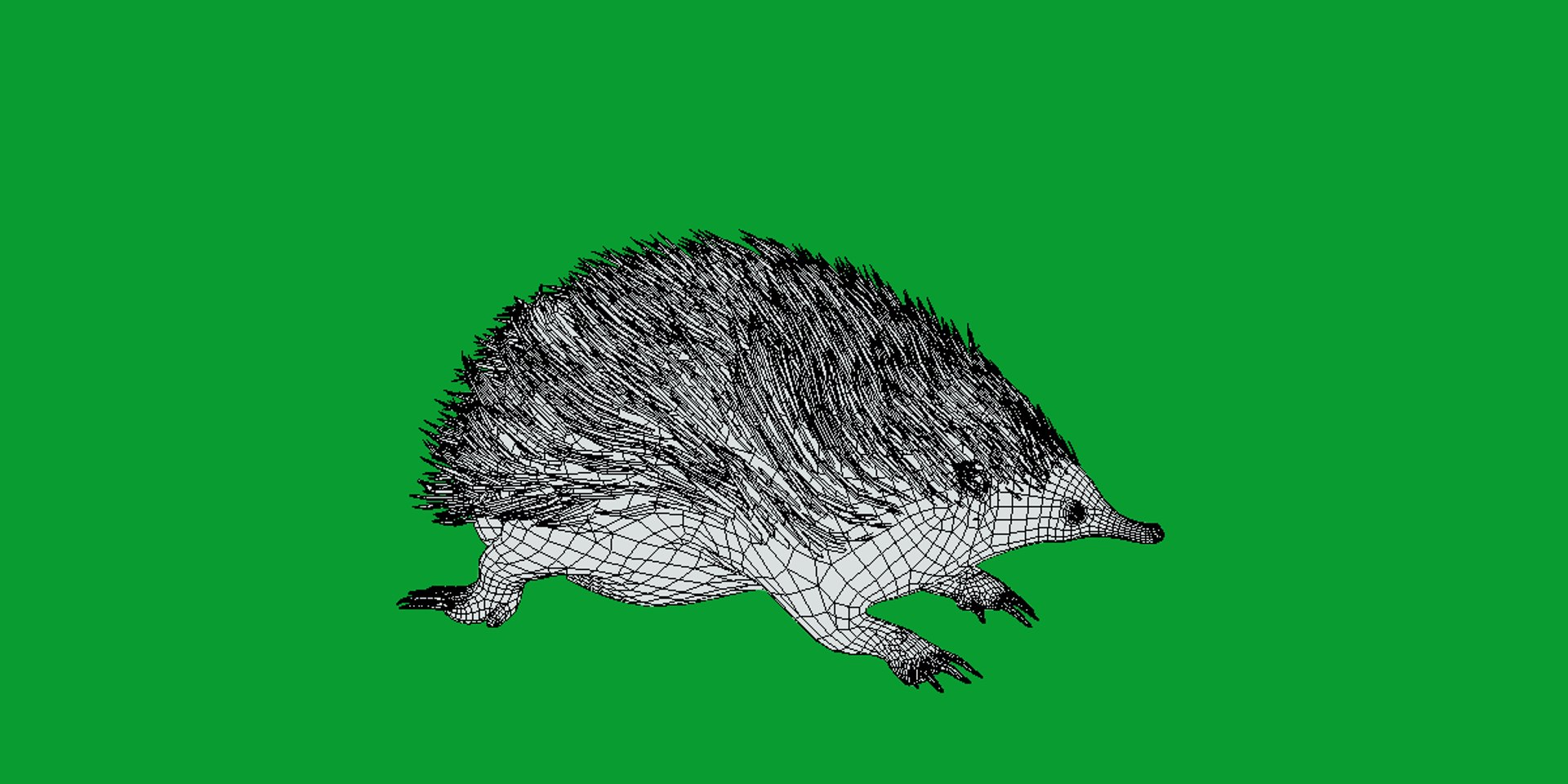 Echidna 3D model https://p.turbosquid.com/ts-thumb/Q4/Ek0UZP/O1/short_beaked_echidna19/png/1734270388/1920x1080/fit_q87/debce3e89556a171caec26097c8f7b9ee9d85b04/short_beaked_echidna19.jpg