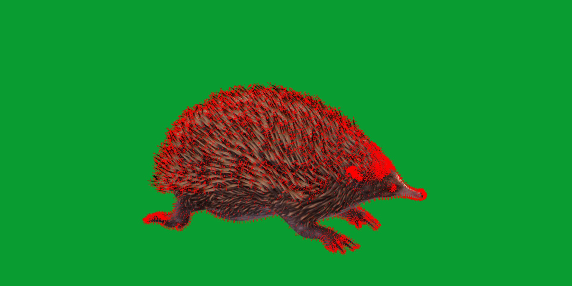 Echidna 3D model https://p.turbosquid.com/ts-thumb/Q4/Ek0UZP/OV/short_beaked_echidna20/png/1734270391/1920x1080/fit_q87/b219dd05923dc8e793c275cd0532045bc811e970/short_beaked_echidna20.jpg