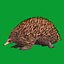 Equidna