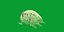 Equidna