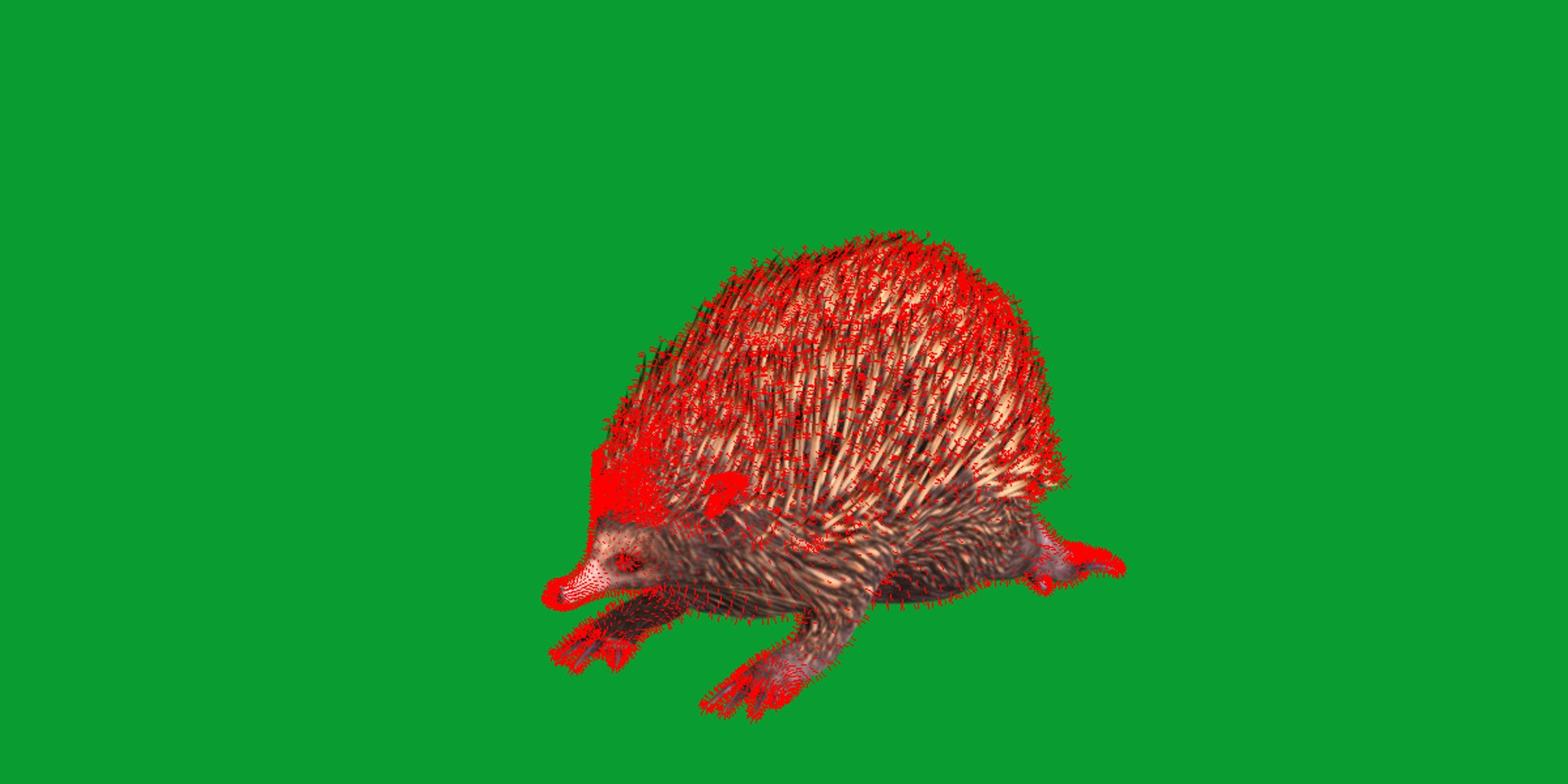 Echidna 3D model https://p.turbosquid.com/ts-thumb/Q4/Ek0UZP/WA/short_beaked_echidna21/png/1734270392/1920x1080/fit_q87/e220d25f5c83ff87592f58748edd2a6c7cff895a/short_beaked_echidna21.jpg