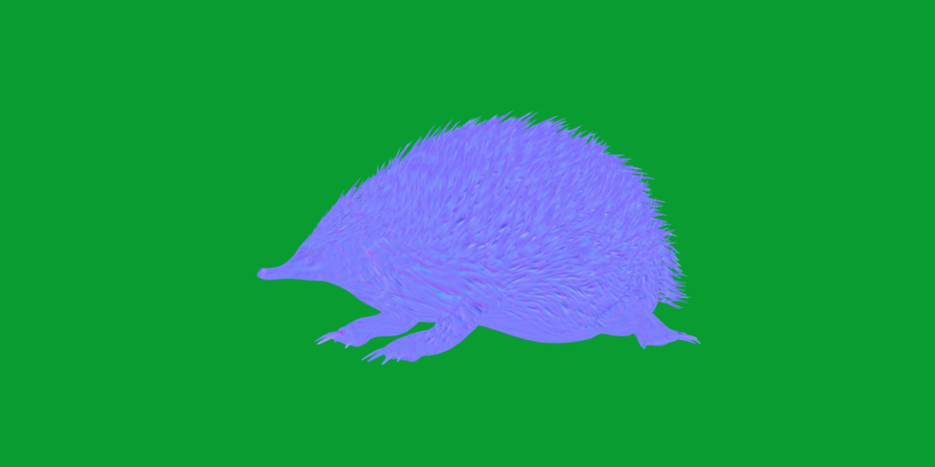 Echidna 3D model https://p.turbosquid.com/ts-thumb/Q4/Ek0UZP/YF/short_beaked_echidna11/png/1734270436/1920x1080/fit_q87/e35835e204679dcf106b5b8cf3bc4849dca5b62f/short_beaked_echidna11.jpg