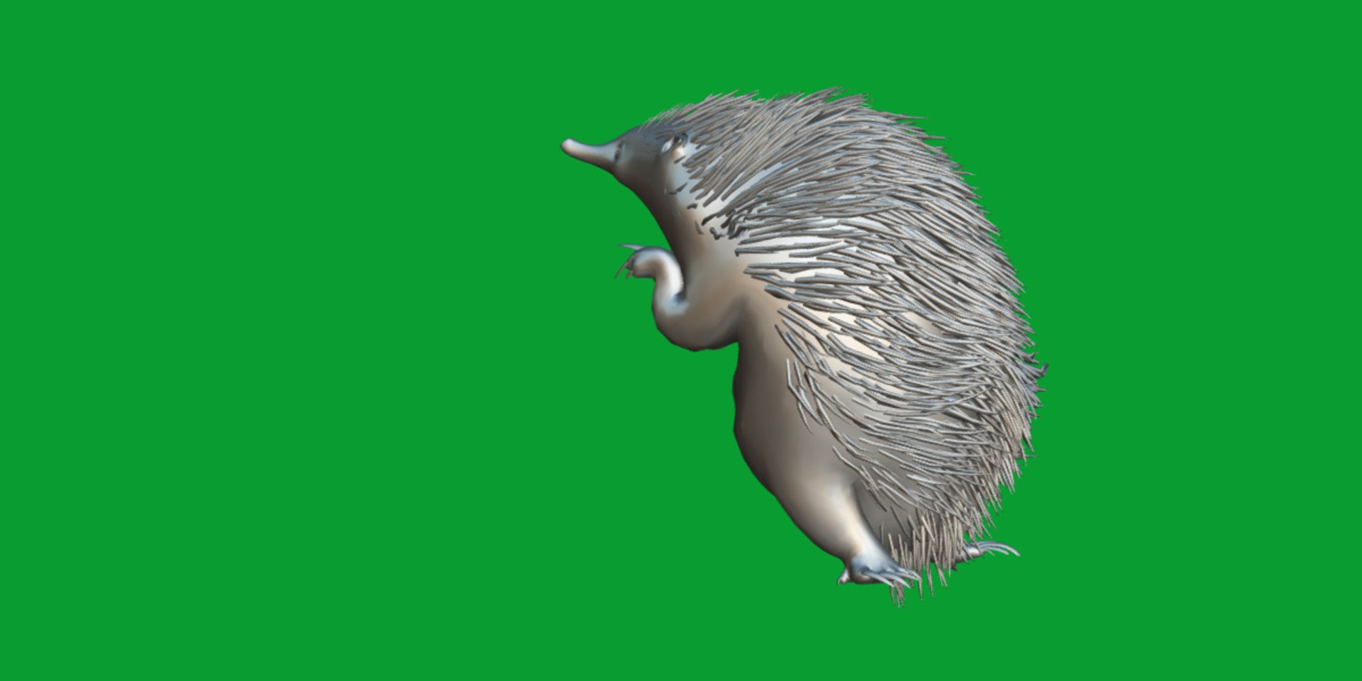 Echidna 3D model https://p.turbosquid.com/ts-thumb/Q4/Ek0UZP/Yt/short_beaked_echidna16/png/1734270439/1920x1080/fit_q87/765961601de32ec9d71fc32b1c84ee0e179d4225/short_beaked_echidna16.jpg