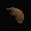 Equidna