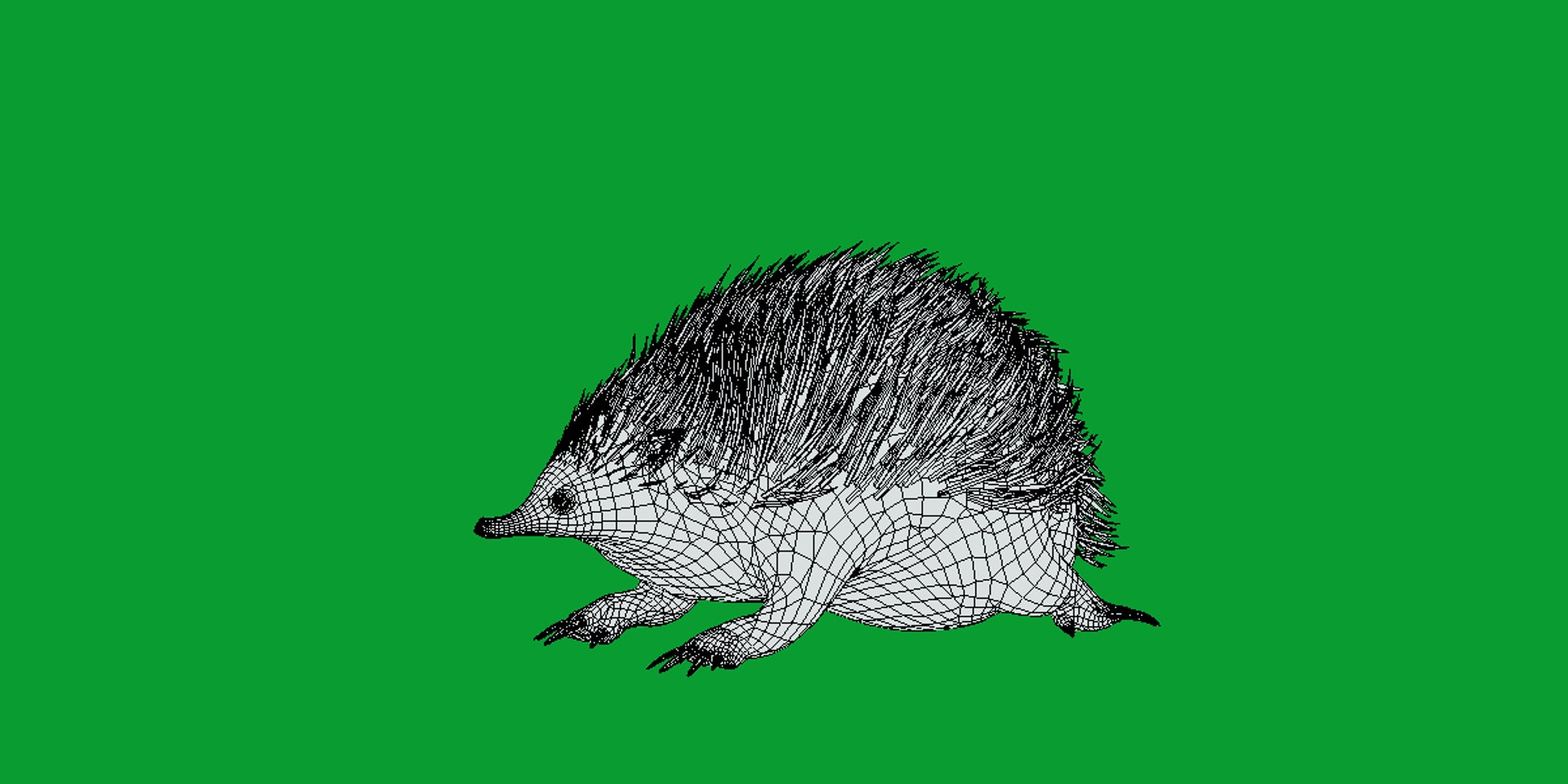 Echidna 3D model https://p.turbosquid.com/ts-thumb/Q4/Ek0UZP/j5/short_beaked_echidna18/png/1734270388/1920x1080/fit_q87/496ab9a5103d92b816285c04fe489cf3ea163a3d/short_beaked_echidna18.jpg