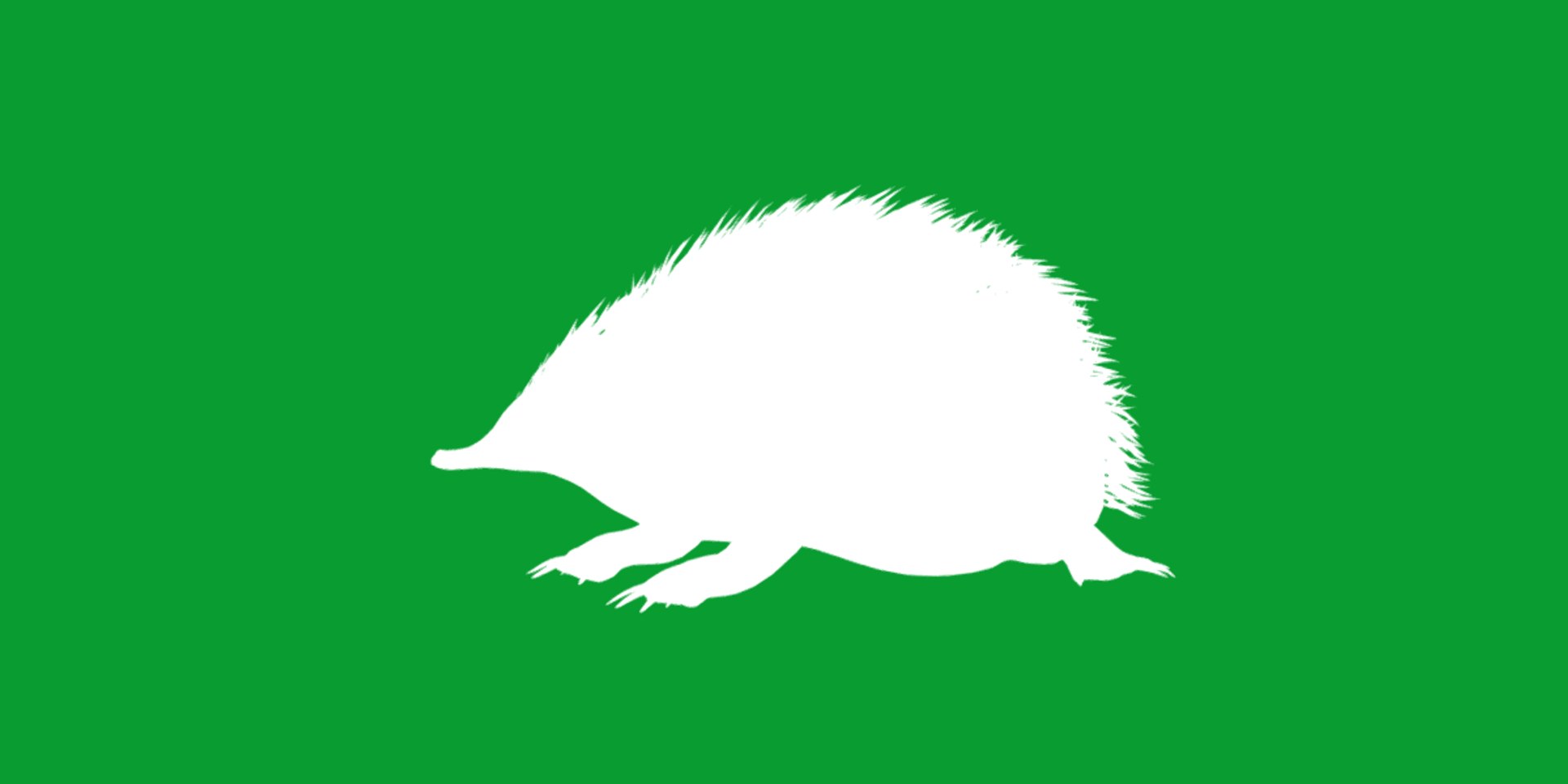 Echidna 3D model https://p.turbosquid.com/ts-thumb/Q4/Ek0UZP/qO/short_beaked_echidna10/png/1734270434/1920x1080/fit_q87/34c63871a693c804c75cc1241bb09b9a3eedb6f4/short_beaked_echidna10.jpg