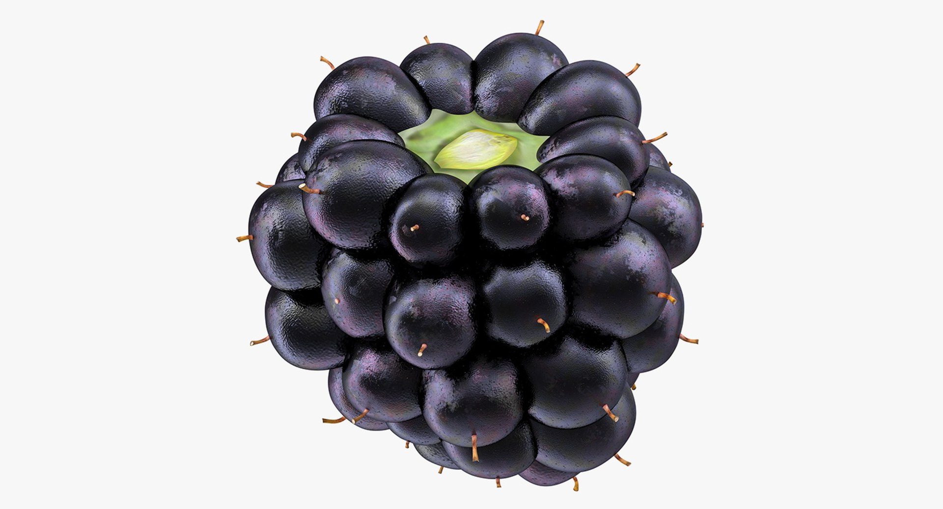 Blackberry Fruit 3D model preview