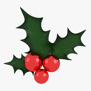 3D holly decoration model
