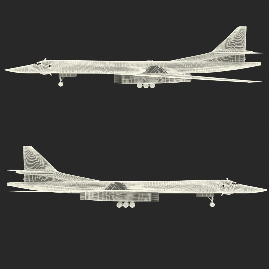 lwo russian strategic bomber tupolev https://p.turbosquid.com/ts-thumb/Q4/bqZDZC/ZjiAqMOB/russianstrategicbombertupolevtu160_285/jpg/1402390997/1920x1080/fit_q87/06373208b598b55e59d5e703bc6631703f74cf71/russianstrategicbombertupolevtu160_285.jpg