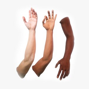 Male Hand Arms Pack 2 - Human Anatomy