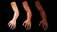 Male Hand Arms Pack 2 - Human Anatomy