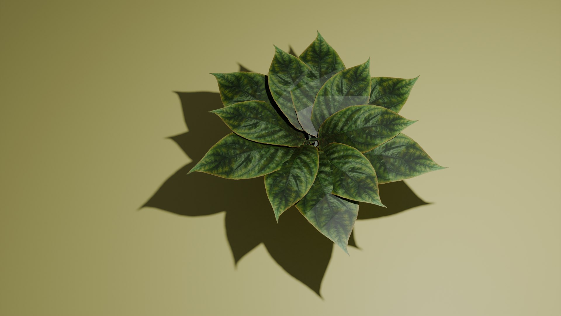 Plant 3D model https://p.turbosquid.com/ts-thumb/Q4/koXsib/J7/plant3/png/1722432112/1920x1080/fit_q87/eb3f3a004318309b697ed9e6befa5f87e00d671b/plant3.jpg