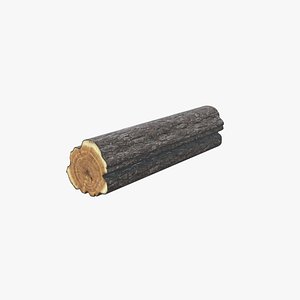 3D model Medieval Log 02