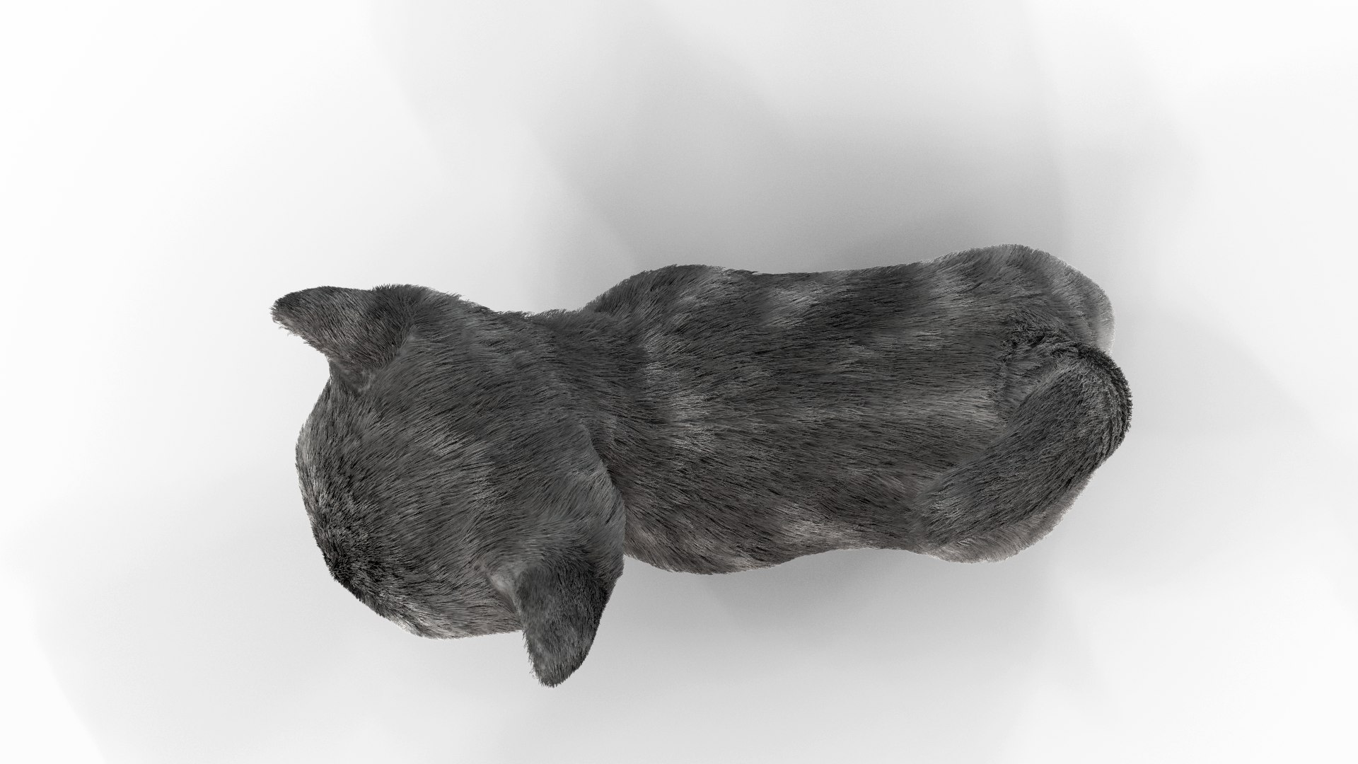 Fur Cute Gray Cat Kitten Animated 3D model https://p.turbosquid.com/ts-thumb/Q4/rIKfEO/8D/pose05/png/1618116879/1920x1080/fit_q87/bb40f0a0b14774e74f874d7fa240d16ae21cea6b/pose05.jpg