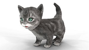 Fur Cute Gray Cat Kitten Animated 3D model