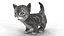 Fur Cute Gray Cat Kitten Animated