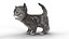 Fur Cute Gray Cat Kitten Animated