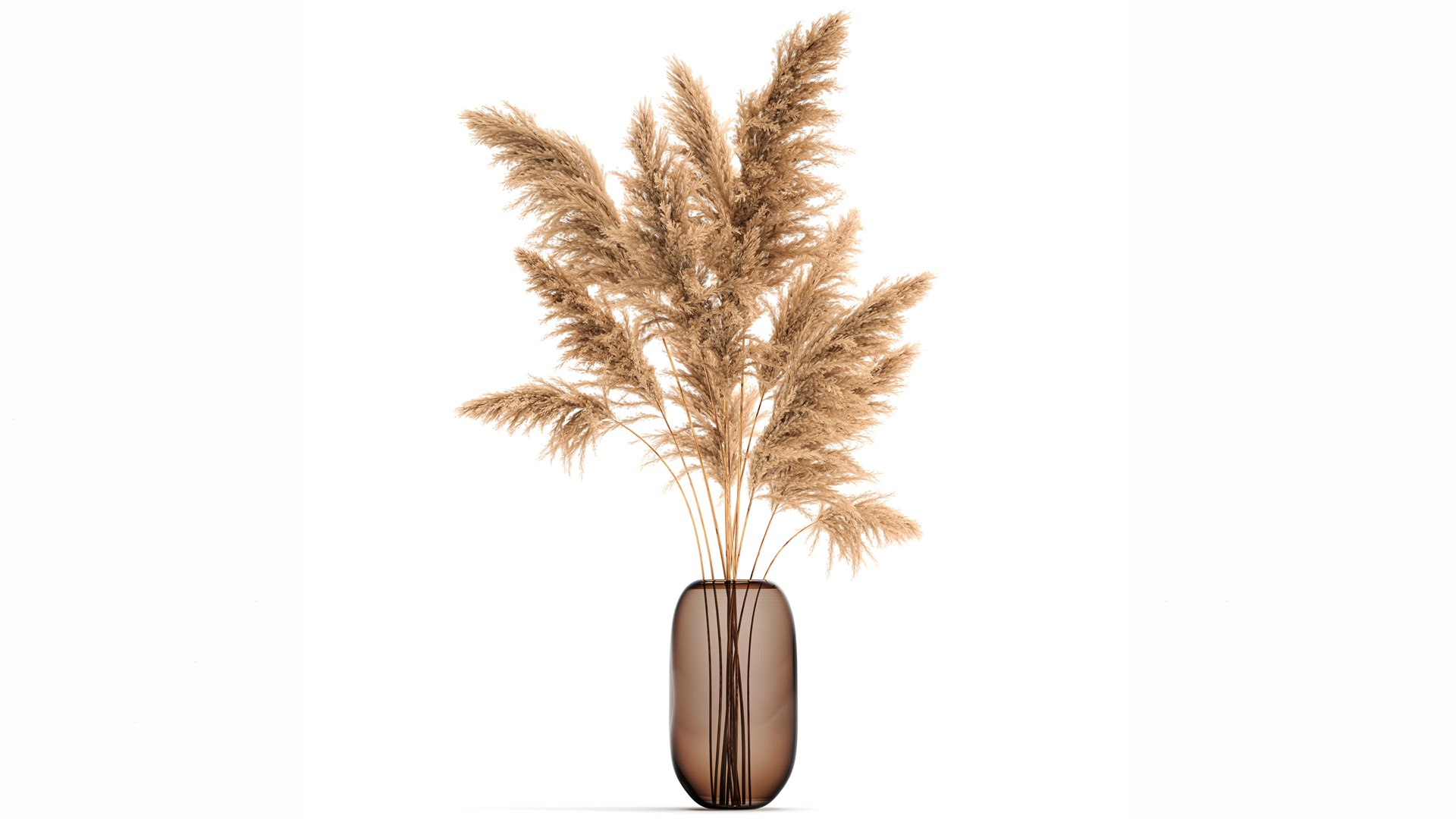 Bouquet Of Dried Reeds In A Vase 140 3D - TurboSquid 1773574