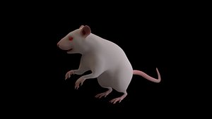 rigged mouse animators model