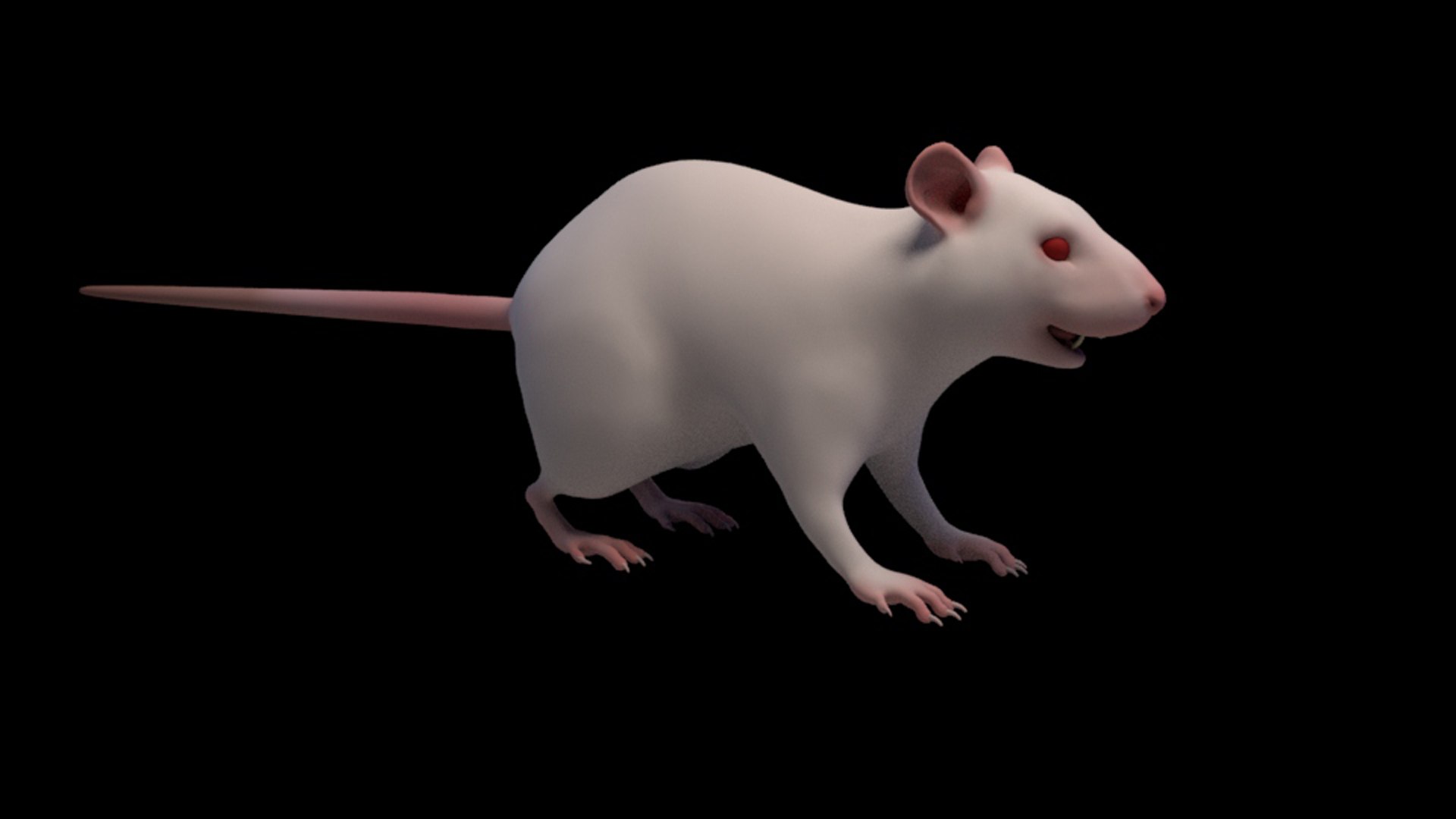 Rigged Mouse Animators Model - TurboSquid 1536806