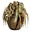 3D model Dead Plant Pack