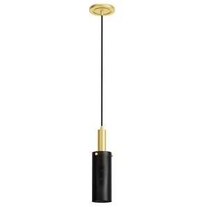 3D model Black and Brass Small Styx Modern Pendant