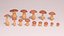 Collection de champignons stylisés Bay Bolete et Boletus Edulis Low-poly modèle 3D