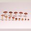 Collection de champignons stylisés Bay Bolete et Boletus Edulis Low-poly modèle 3D