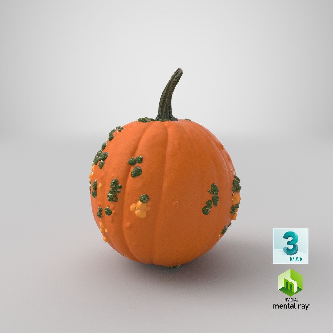 3D pumpkin warts https://p.turbosquid.com/ts-thumb/Q5/cSjrG3/SlkWT0Xd/stemcell_max_mental_ray_render/png/1600706214/1920x1080/fit_q87/38f6f4646e12d00bea4344af2b3768541929f50b/stemcell_max_mental_ray_render.jpg