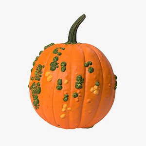 3D pumpkin warts