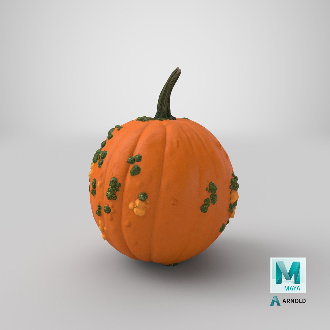 3D pumpkin warts https://p.turbosquid.com/ts-thumb/Q5/cSjrG3/p0bjVHZA/stemcell_maya_arnold_render/png/1600706221/1920x1080/fit_q87/7c6eb534b70b1b5db1faece60894cdb7554765f8/stemcell_maya_arnold_render.jpg