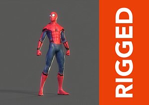 3D Spider-Man Rig model