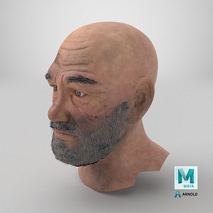 Homeless Old Man Head