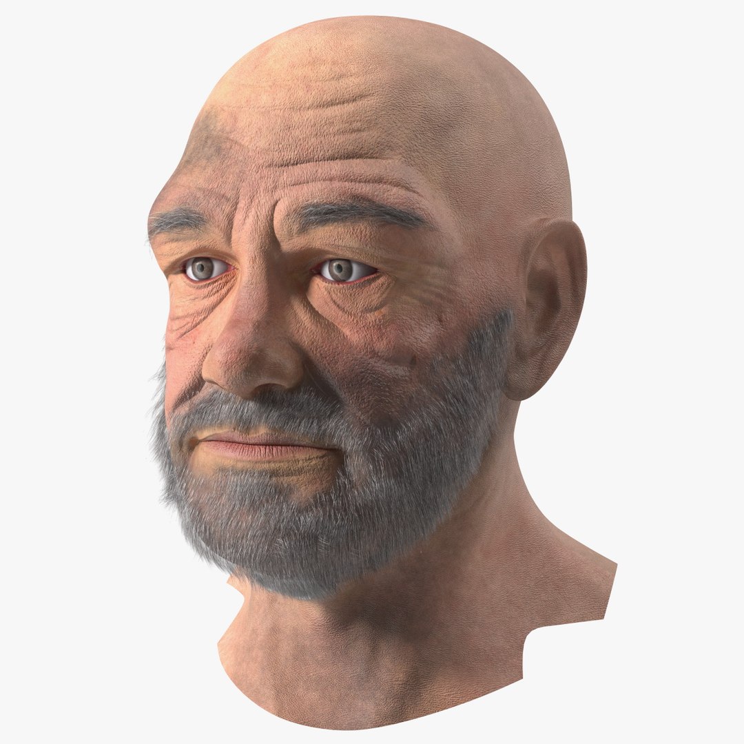 Homeless Old Man Head 3D model preview