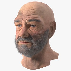 3D Homeless Old Man Head model