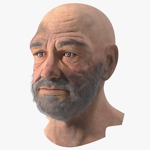 Homeless Old Man Head