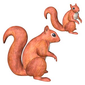 Fully rigged low poly Squirrel 3D